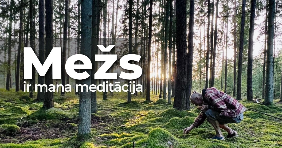 Mežs ir mana meditācija
