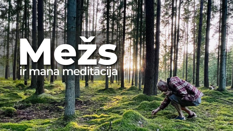 Mežs ir mana meditācija